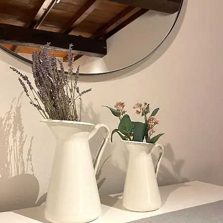 Violino Green 2 Apartmán